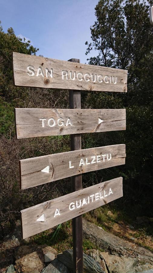 A Tana Di A Volpe Apartamento Ville-di-Pietrabugno Exterior foto