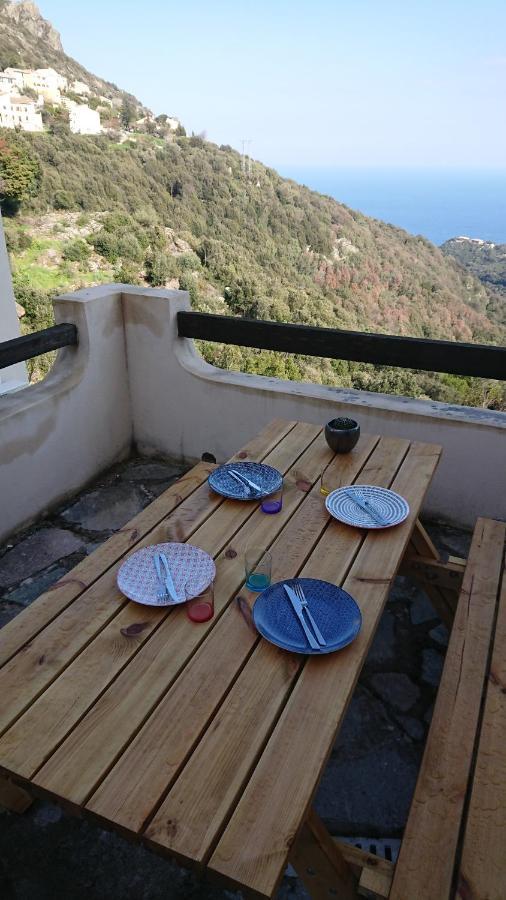 A Tana Di A Volpe Apartamento Ville-di-Pietrabugno Exterior foto