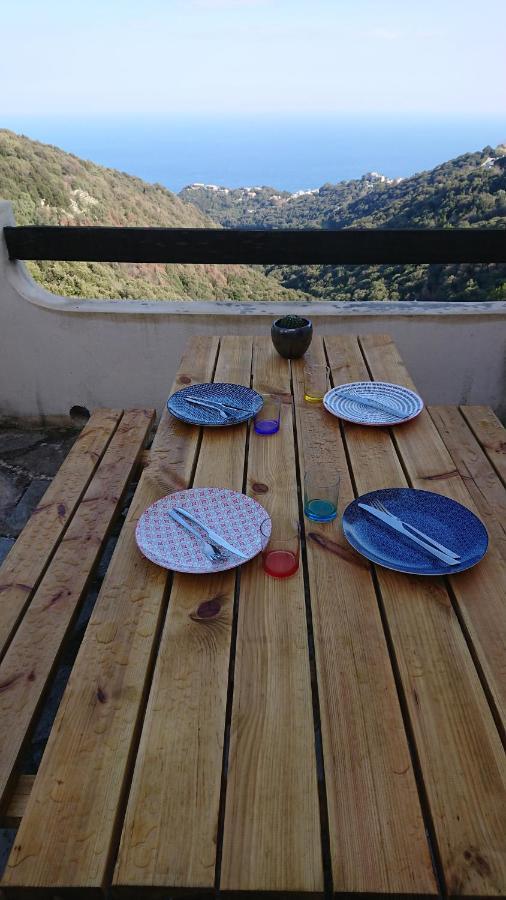 A Tana Di A Volpe Apartamento Ville-di-Pietrabugno Exterior foto