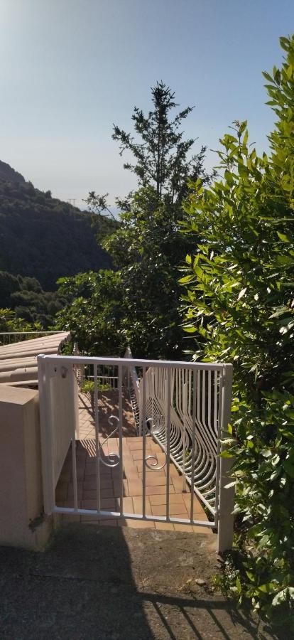 A Tana Di A Volpe Apartamento Ville-di-Pietrabugno Exterior foto